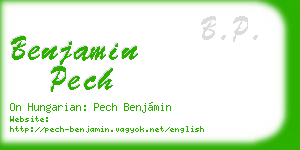 benjamin pech business card